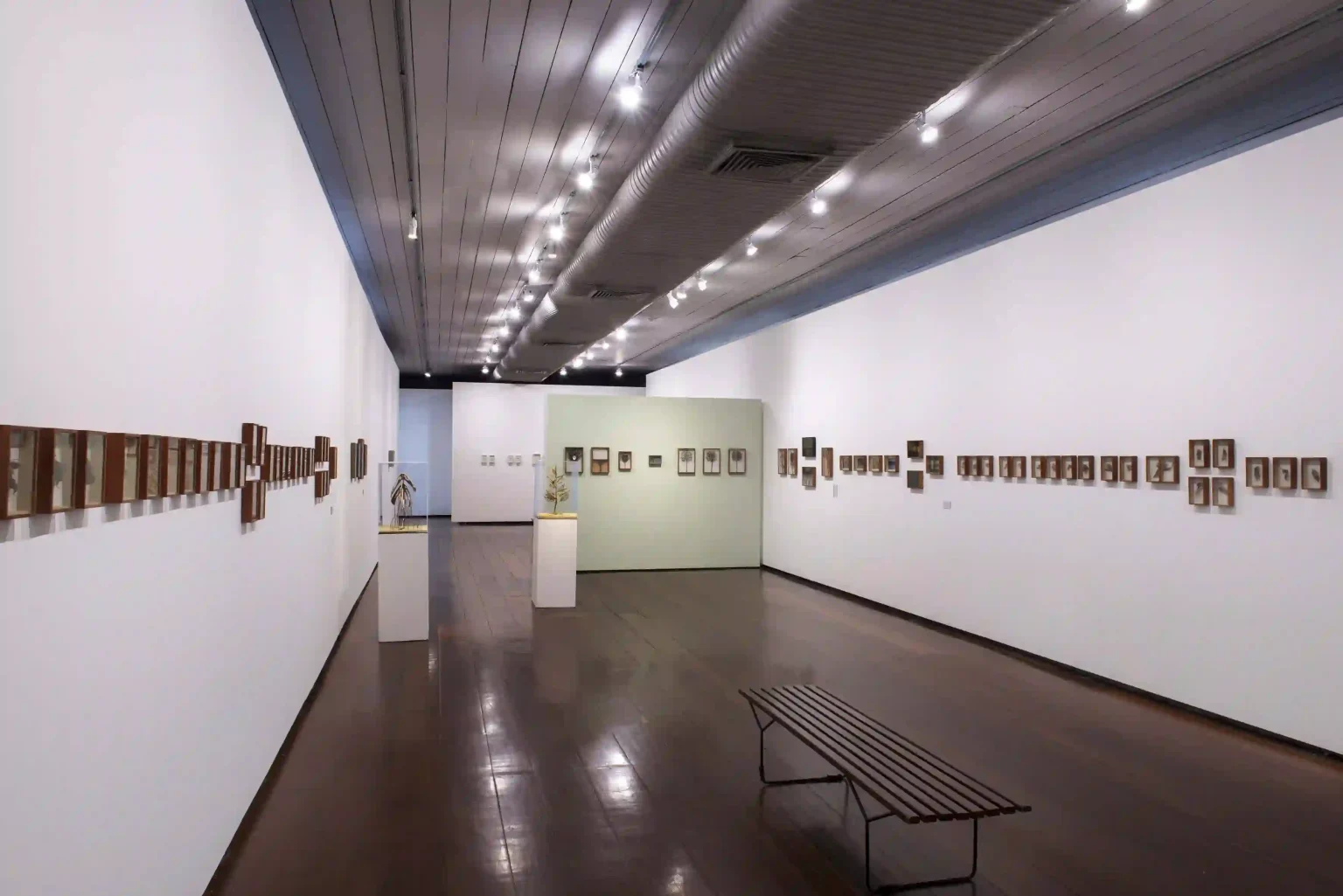 Conversa com a artista Vitória Taborda e a curadora Vera Beatriz Siqueira no Paço Imperial