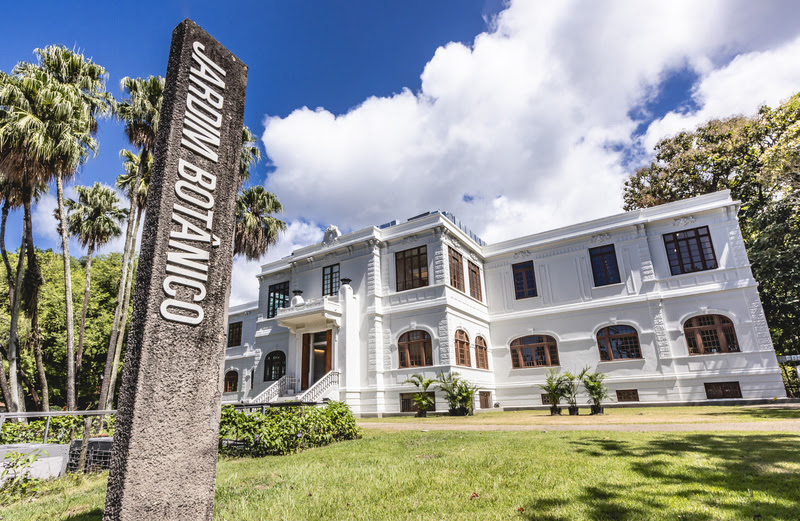 Museu do Jardim Botânico transforma férias escolares em imersão pela biodiversidade brasileira